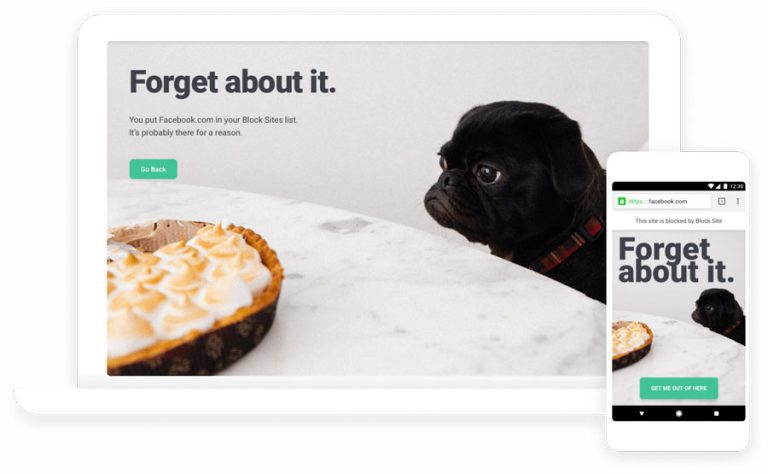 Website Blockers BlockSite